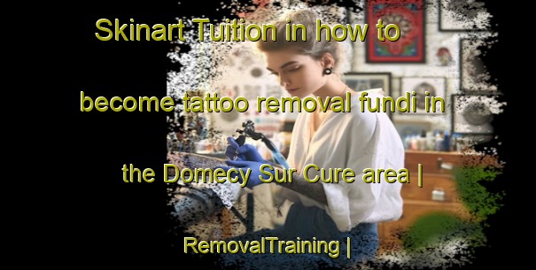 Skinart Tuition in how to become tattoo removal fundi in the Domecy Sur Cure area | RemovalTraining | RemovalClasses | SkinartTraining-France